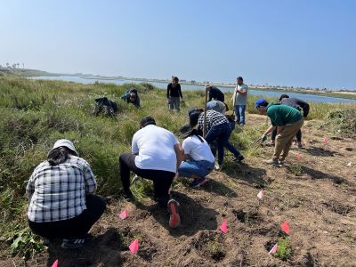 Bolsa Chica Wetlands Service Project